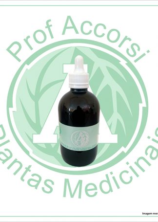 TINTURA DE PAU D'ARCO (Tabebuia avellanedae) 100/250ML