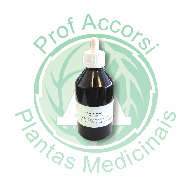 TINTURA DE AMORA (Morus nigra) 30/250mL