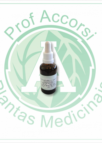 XAROPE DE CHICOREA COM ÓLEO AMENDOA (Cichorium intybus L.) 50ML