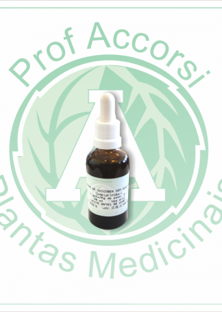 XAROPE DE CHICOREA SEM ÓLEO AMENDOA (Cichorium intybus L.) 50ML