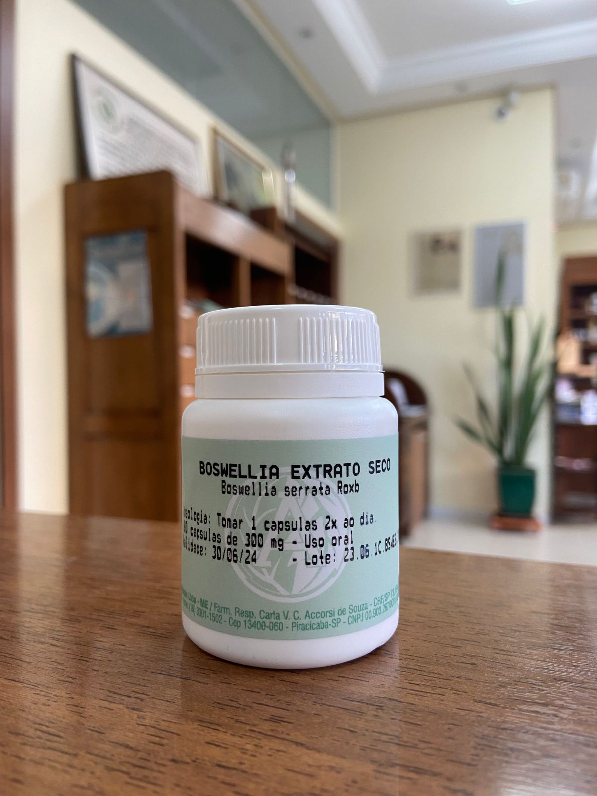 BOSWELLIA EXTRATO SECO 60caps 300mg